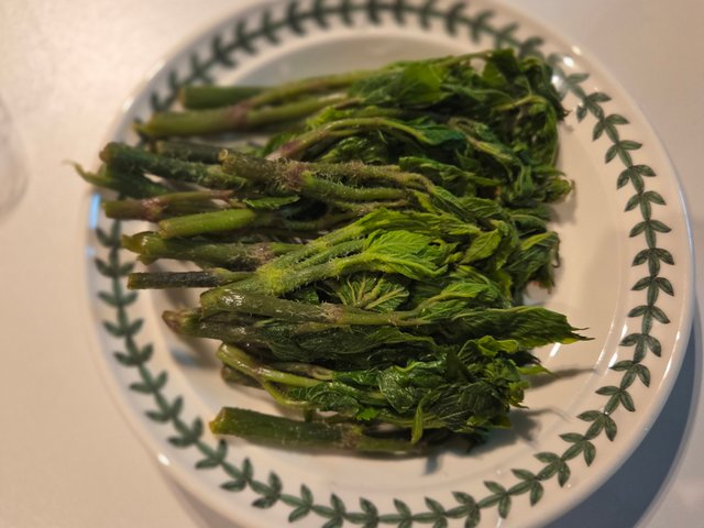 20250407_181337.jpg