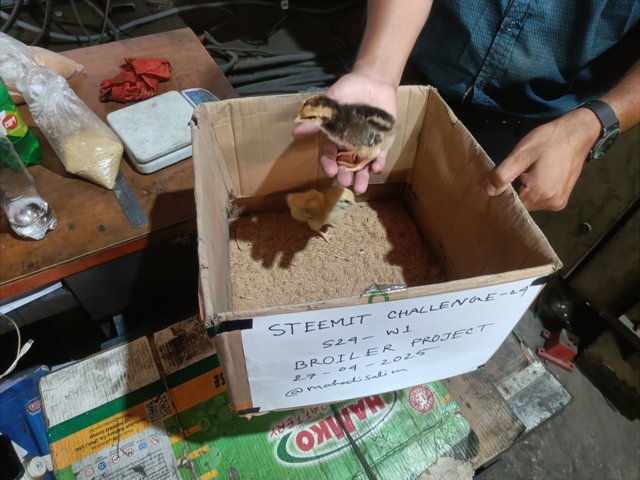IMG20250427115013.jpg