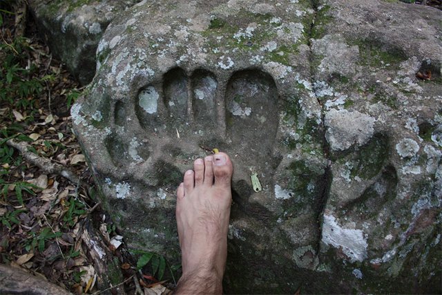 footprint-31.jpg