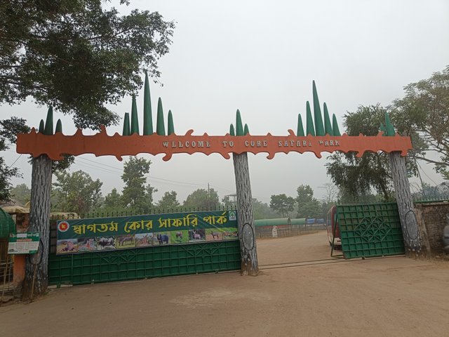 IMG20250103104502.jpg