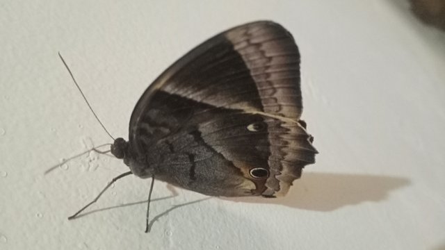 IMG20250531181947.jpg