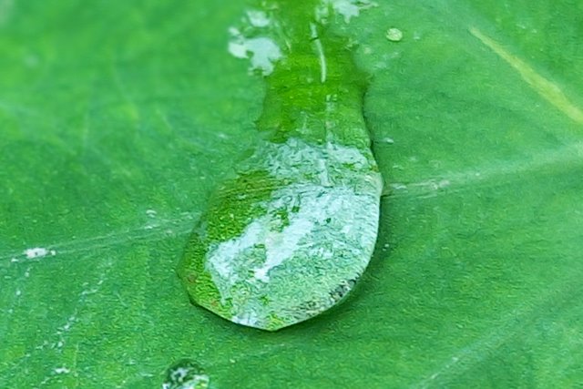 20250722_141619~2.jpg