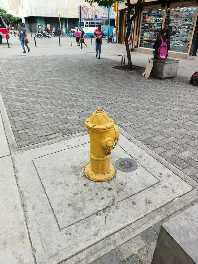 1000363043.jpg