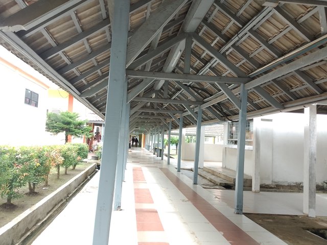 1000254336.jpg