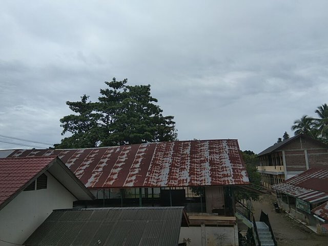 IMG_20250416_162724.jpg