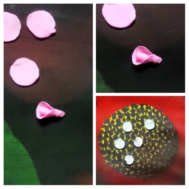 IMG_20250422_105859-COLLAGE.jpg