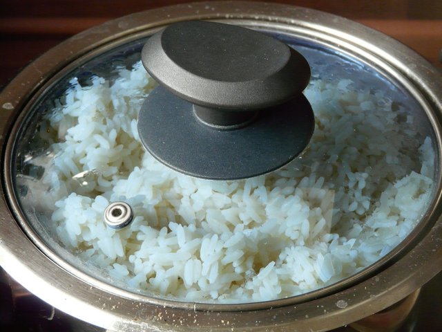 rice-49690_1280.jpg