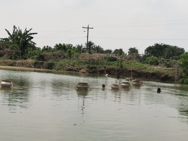 IMG_20240813_140530.jpg