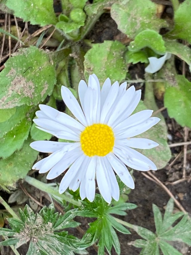 IMG7656.JPG