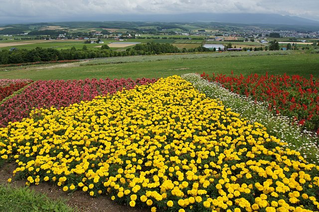 Japan-Hokkaido12802-735.jpg