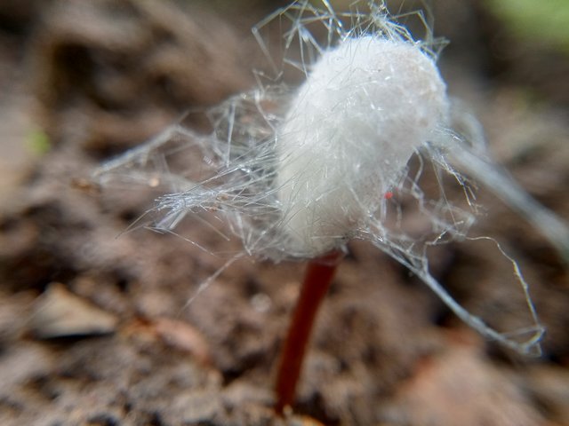 IMG20220306142833.jpg