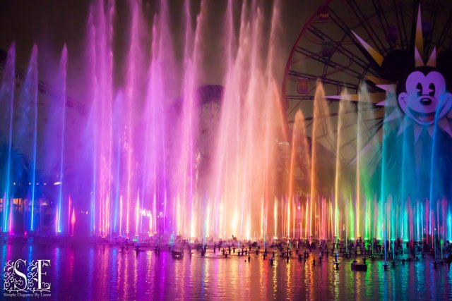 World of Color (11).jpg