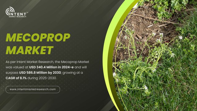 Mecoprop Market-01.jpg