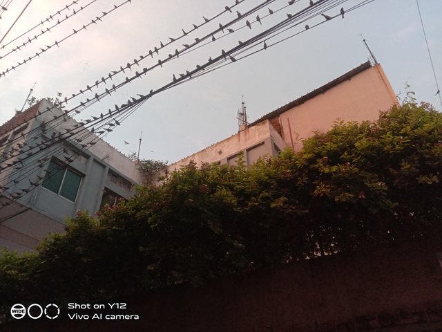 IMG_20250606_185209.jpg