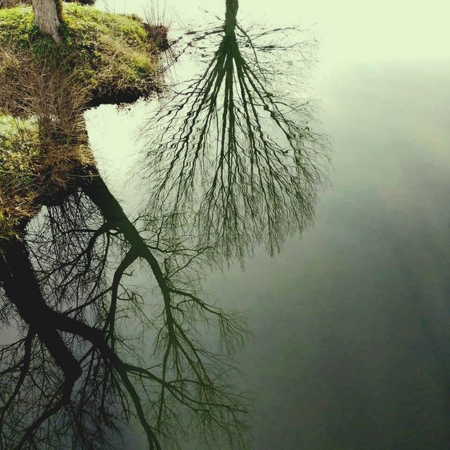 Sombra sobre el agua.jpg