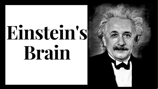 Einstein'sBrain-3.png