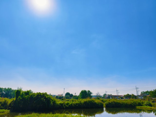 IMG_20250501_075705.jpg