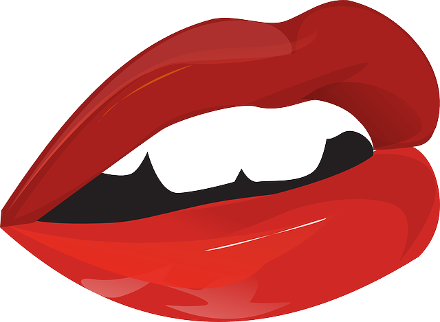 lips-150003_640.png