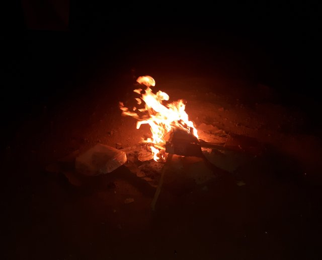 20210420_123231.jpg