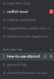 discord 2.jpg