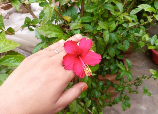 IMG_20250522_093345.JPG