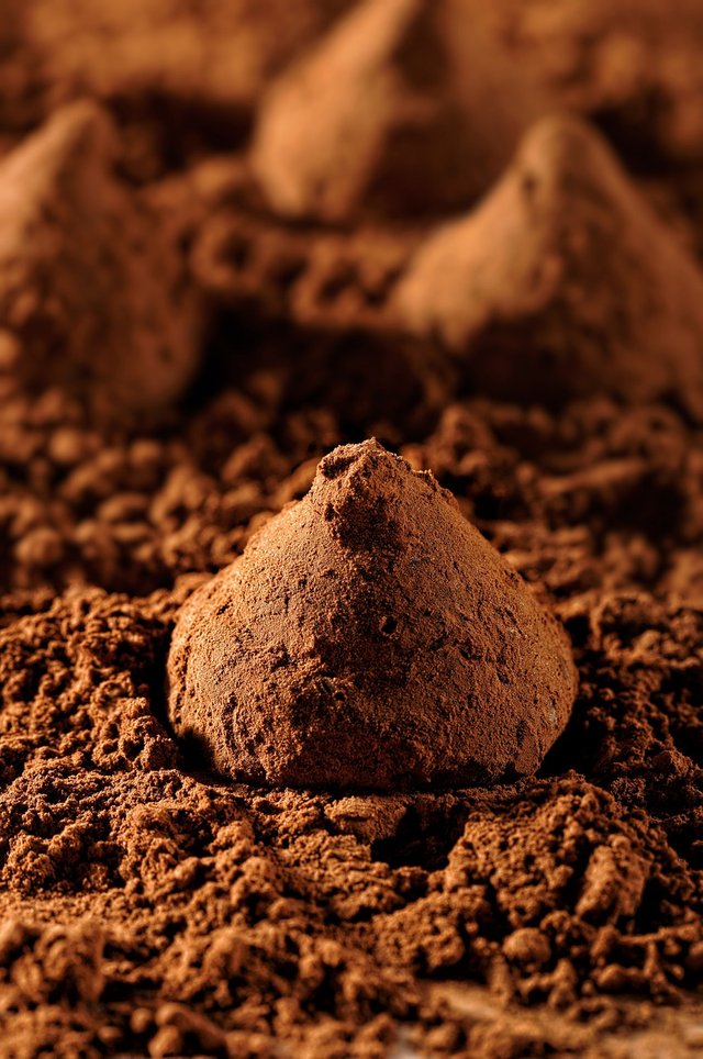 truffles-6636081_1280.jpg