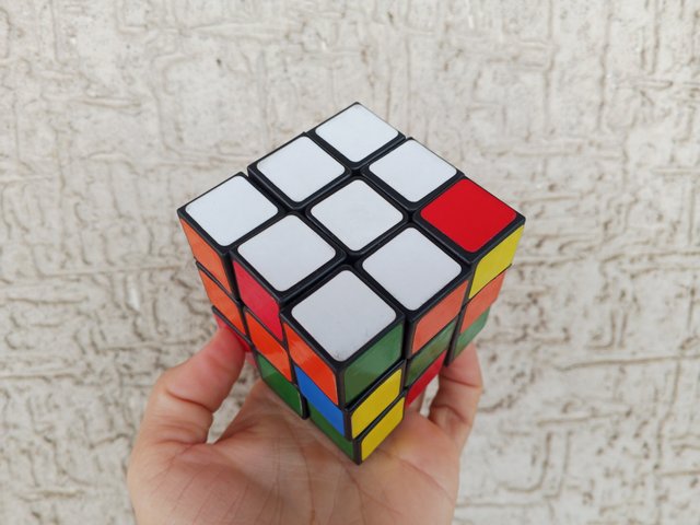 1000049502.jpg