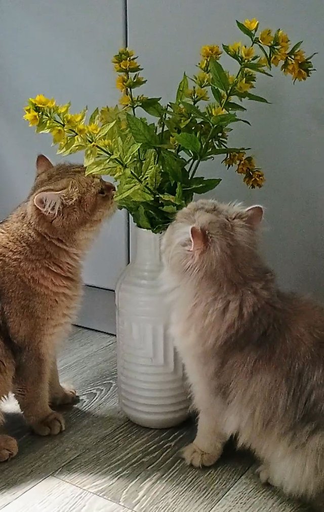 1000001797.jpg