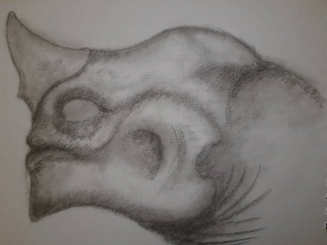 20250720_092436.jpg