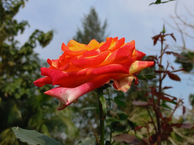 20240215_101952.jpg