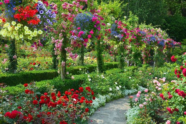 Rose-Garden.jpg