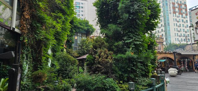 KakaoTalk_20250830_013343294_28.jpg