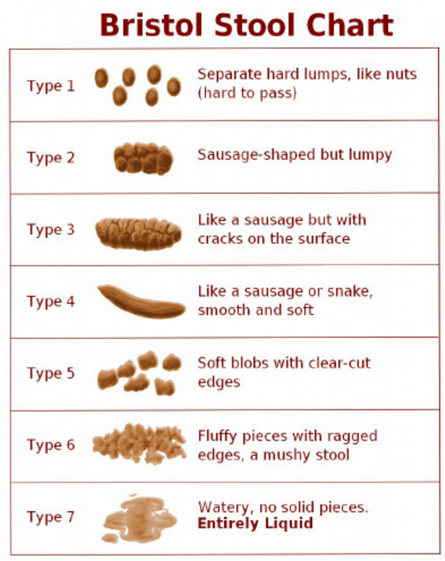 Bristol-stool-chart-Lewis-and-Heaton-1997.png