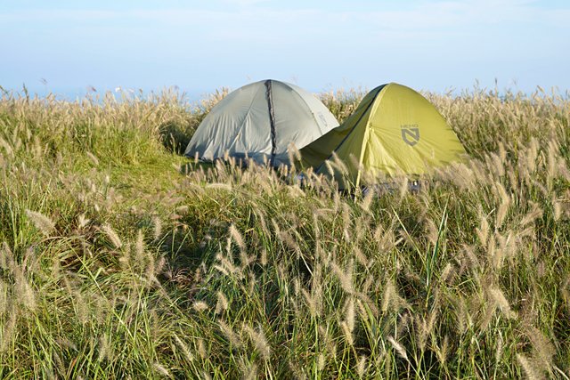 b-DSC04409.JPG