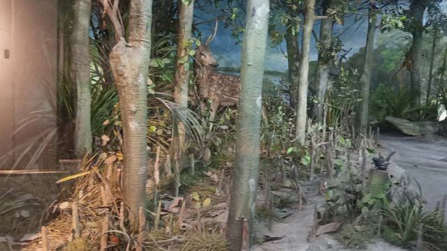 IMG_20250217_121605_4.jpg