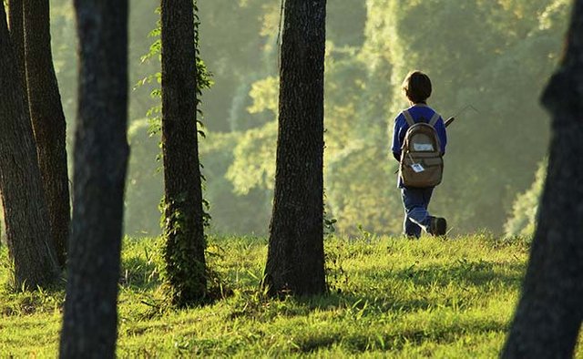child-lost-in-forest_650x400_81464581691.jpg