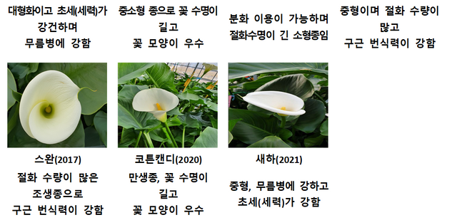 화면 캡처 2023-03-30 124248.png