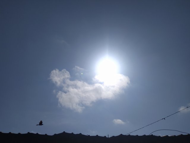 IMG_20250510_091232.jpg