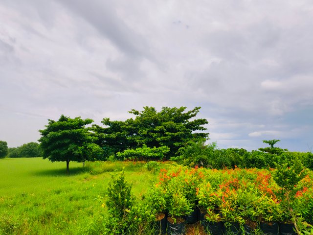 IMG_20250710_113350.jpg