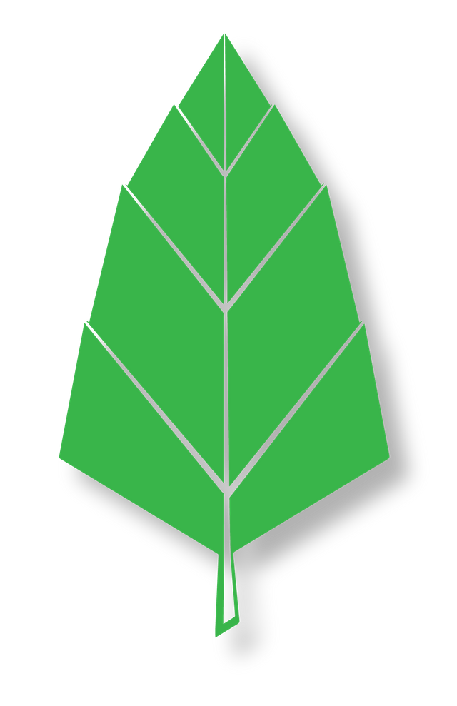 Leaf-with-shadow-01.png
