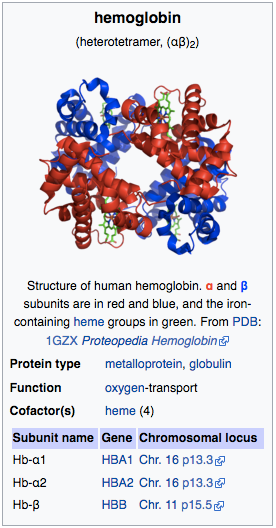 English-language_Wikipedia_infobox_for_hemoglobin.png