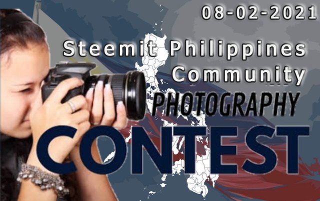 photography contest.jpg