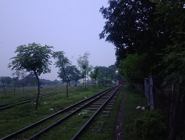 1000041259.jpg
