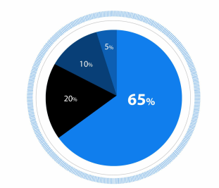TOKEN ALLOCATION.png