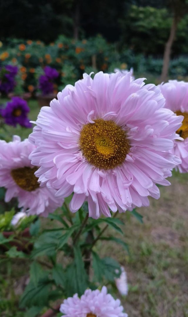 WhatsApp Image 2023-04-04 at 12.02.09 AM.jpeg