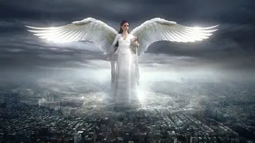 Angel.webp