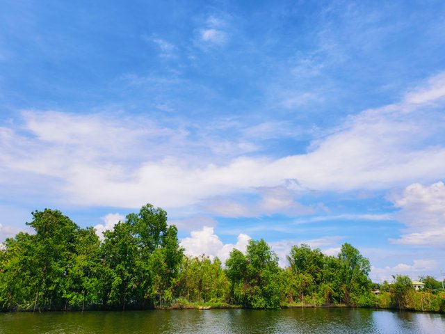 IMG_20250708_094005.jpg