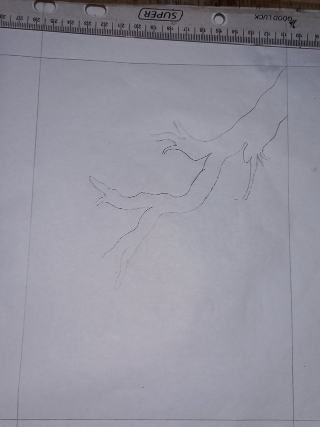 20251025_111448.jpg