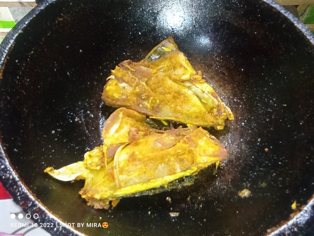 IMG_20251006_133749.jpg