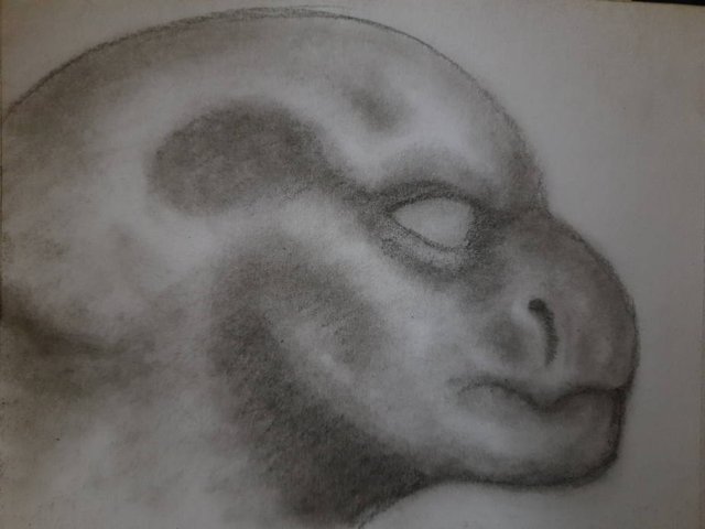 20250921_092407.jpg